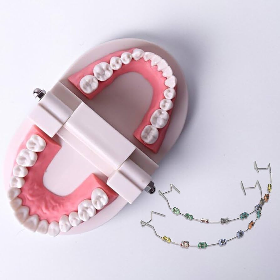 【コスプレ用】矯正ブラケット Amazon.co.jp: ANNWAH 3ピース 歯科用リバースアクション